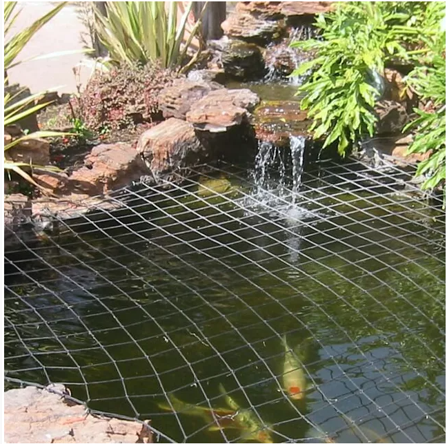 Pond Net