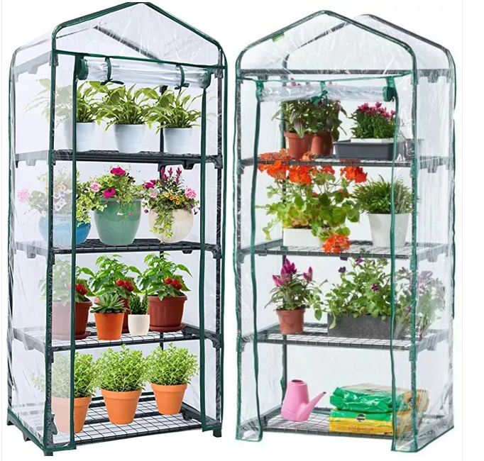 Mini Green House