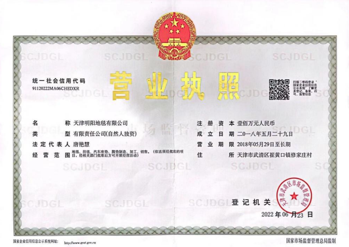 Tianjin Mingyang Carpet Co., Ltd.