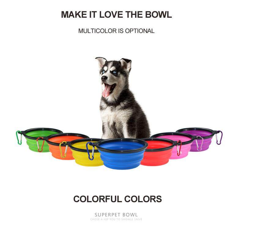 Collapsible Dog Bowl