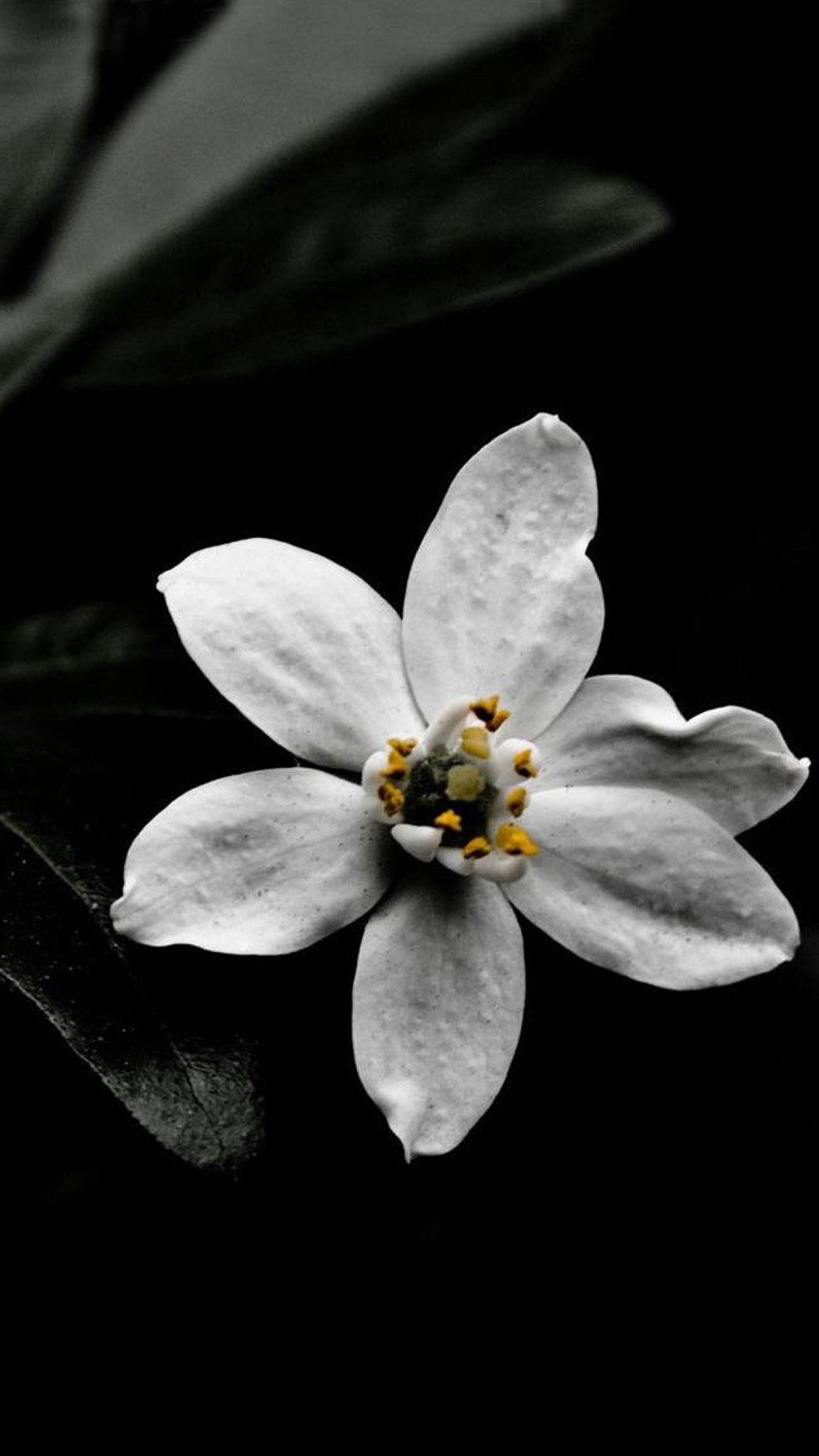 心理科普 | 心理减压的15种方法