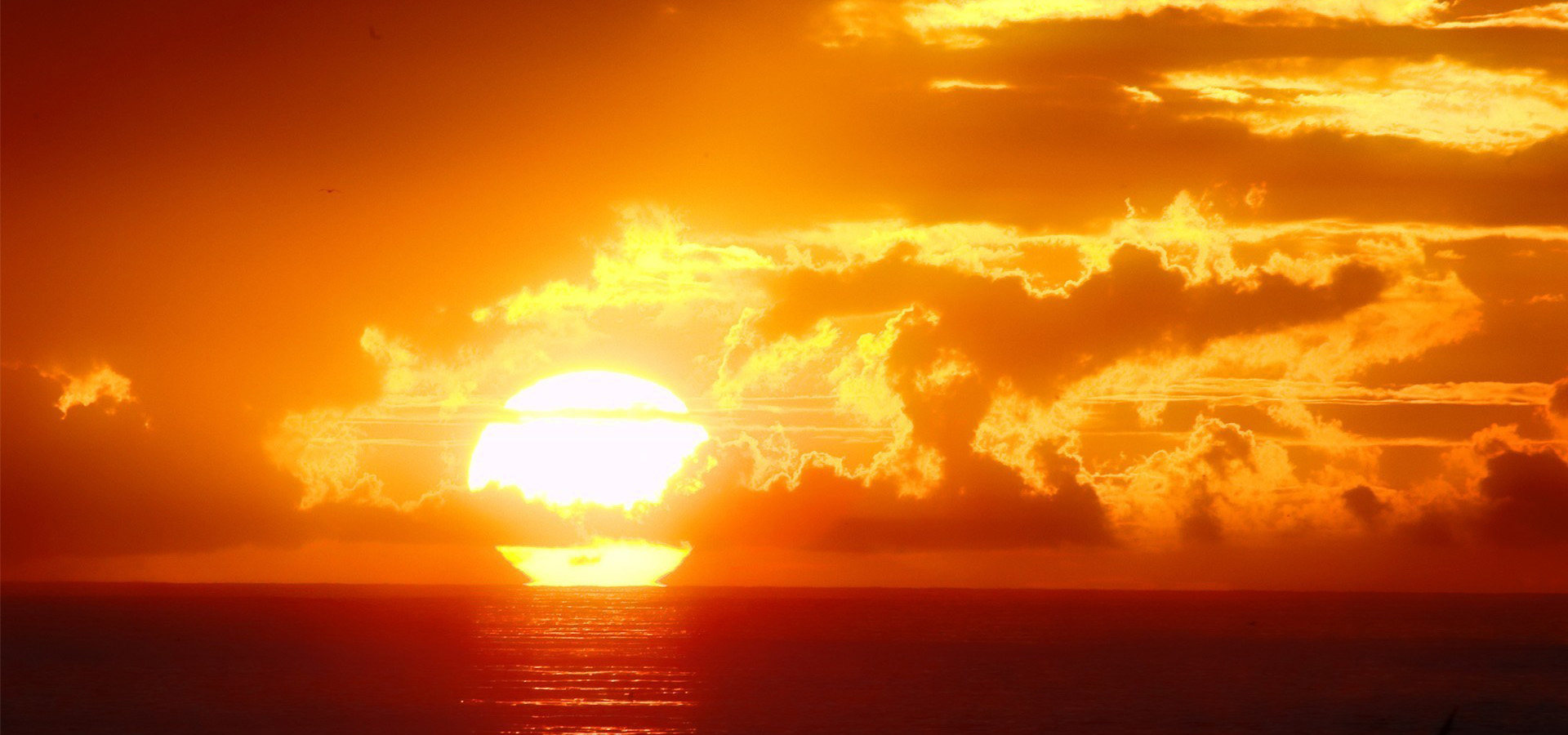 无意识程序决定了你的命运