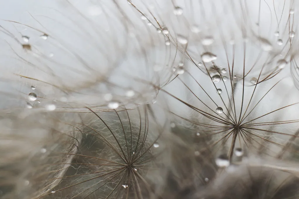 吸引力法则的原理详解