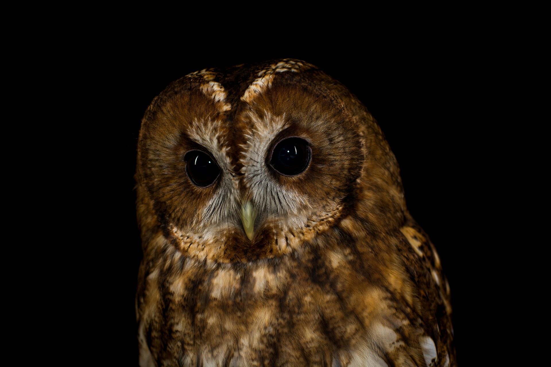 为什么越来越多人变丑、变胖、变笨？2017年诺贝尔奖告诉你答案是...