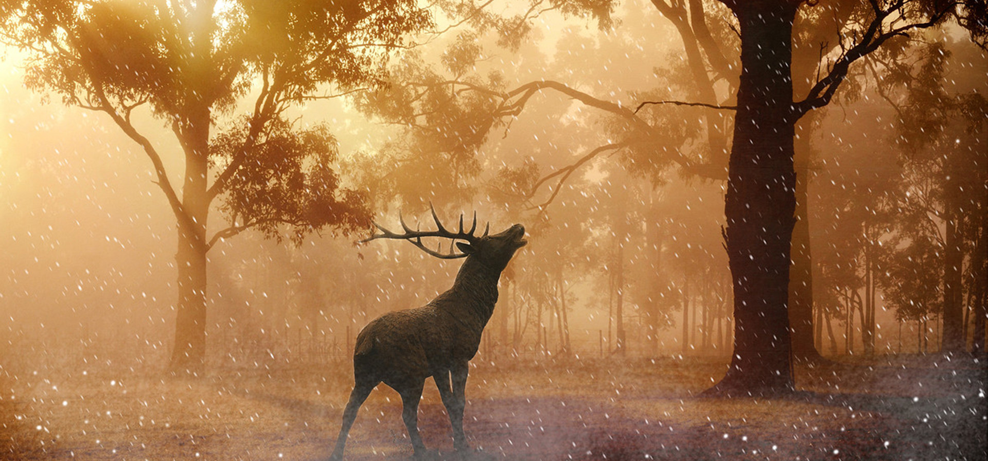 隐喻疗法个案实录