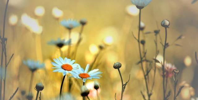 感情好不好，手机都知道