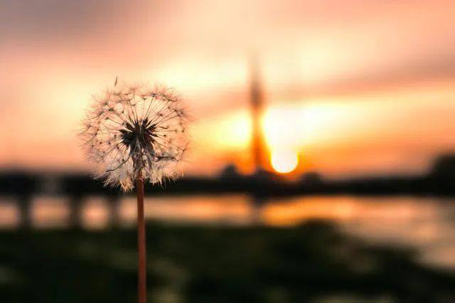 如何让你的身体具有感知力？