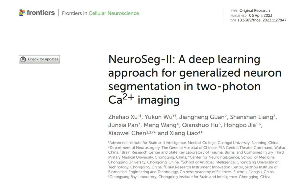 重庆大学廖祥等发布双光子成像数据自动分析方法NeuroSeg-Ⅱ