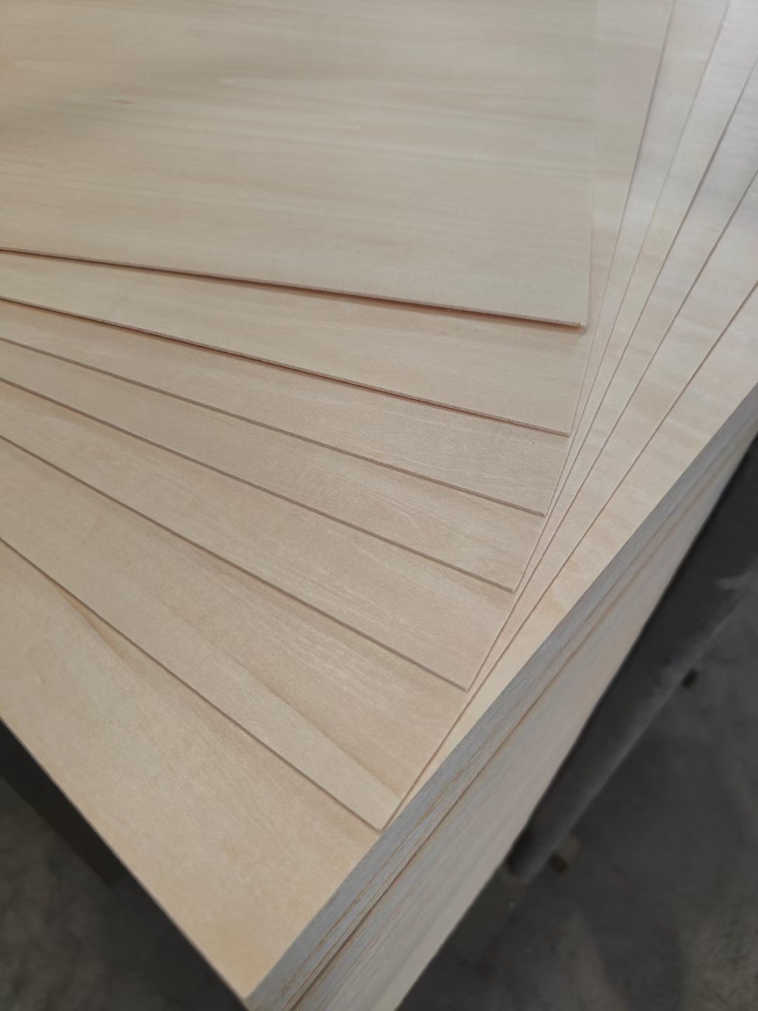 birch plywood