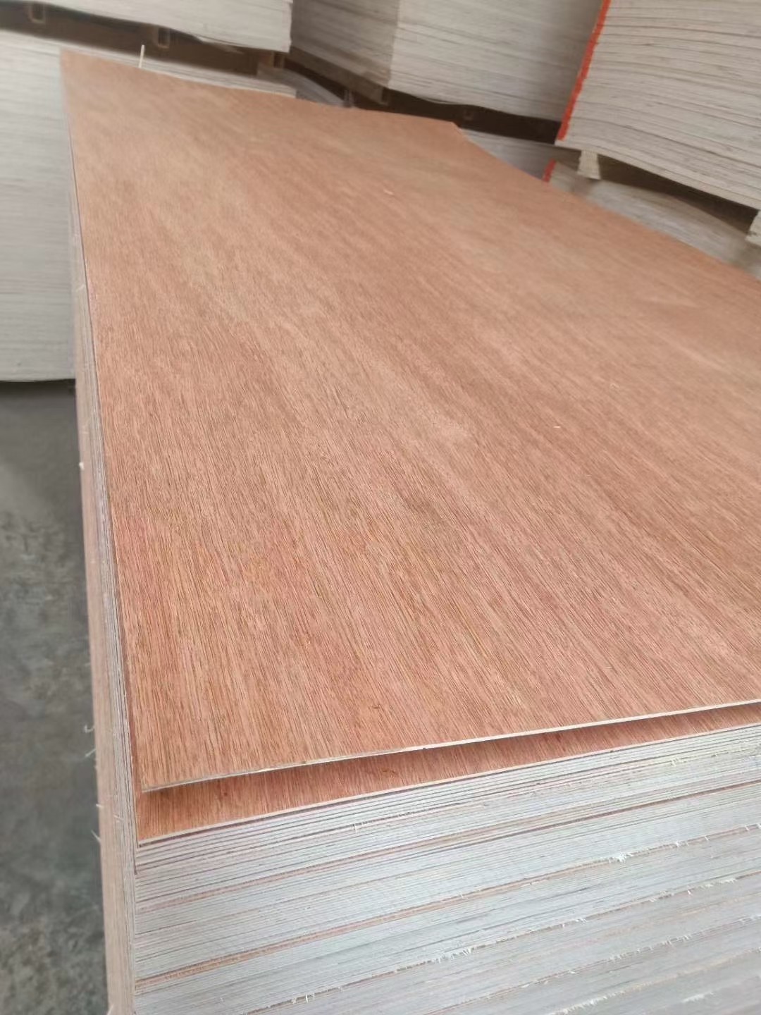 bintangor plywood