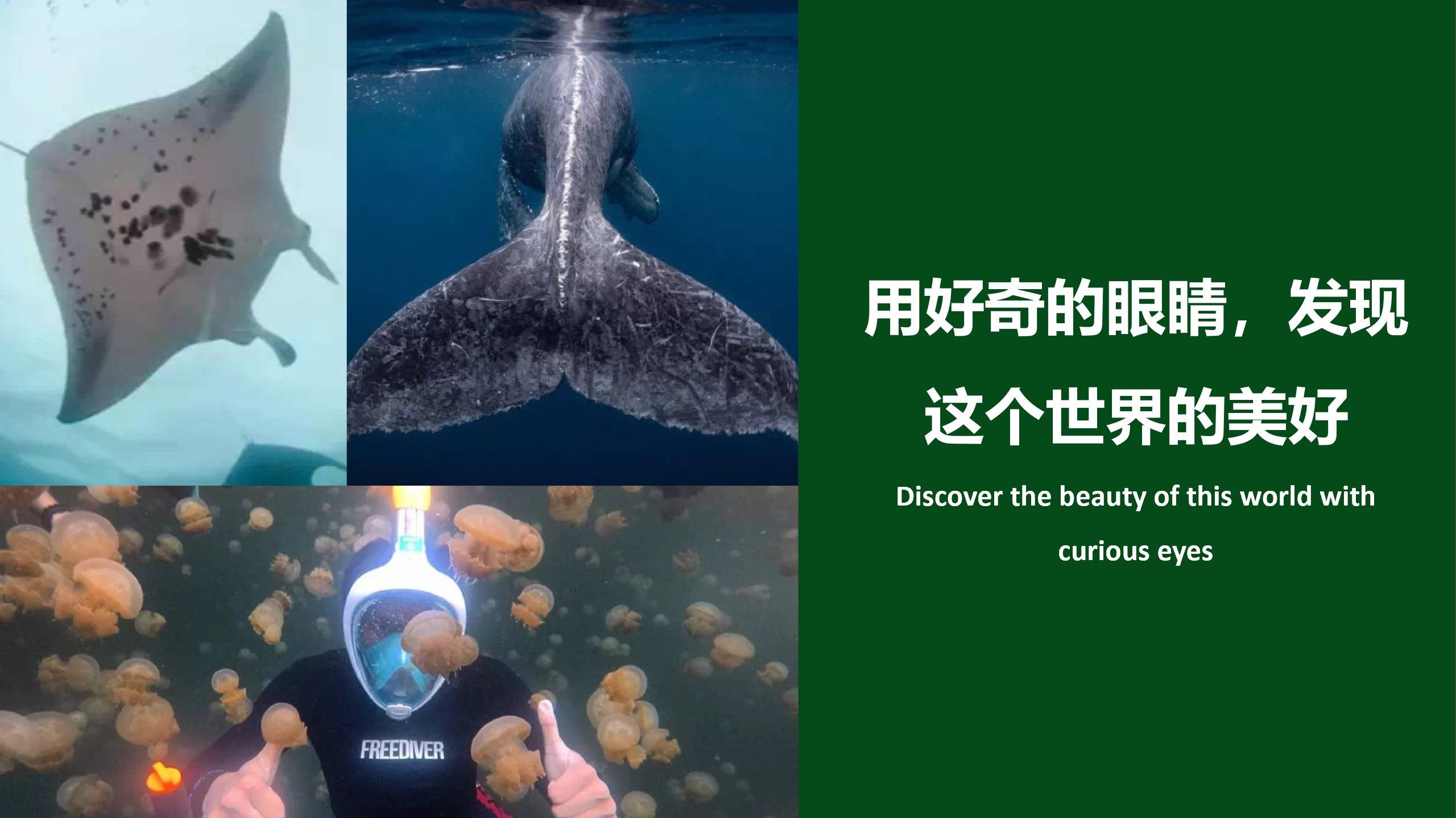 上海浦东一荇生物多样性研究中心（www.yixingshengwu.com）