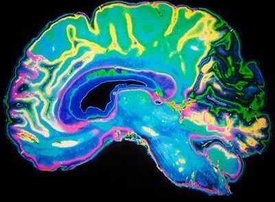 Eat Fish, Live Longer