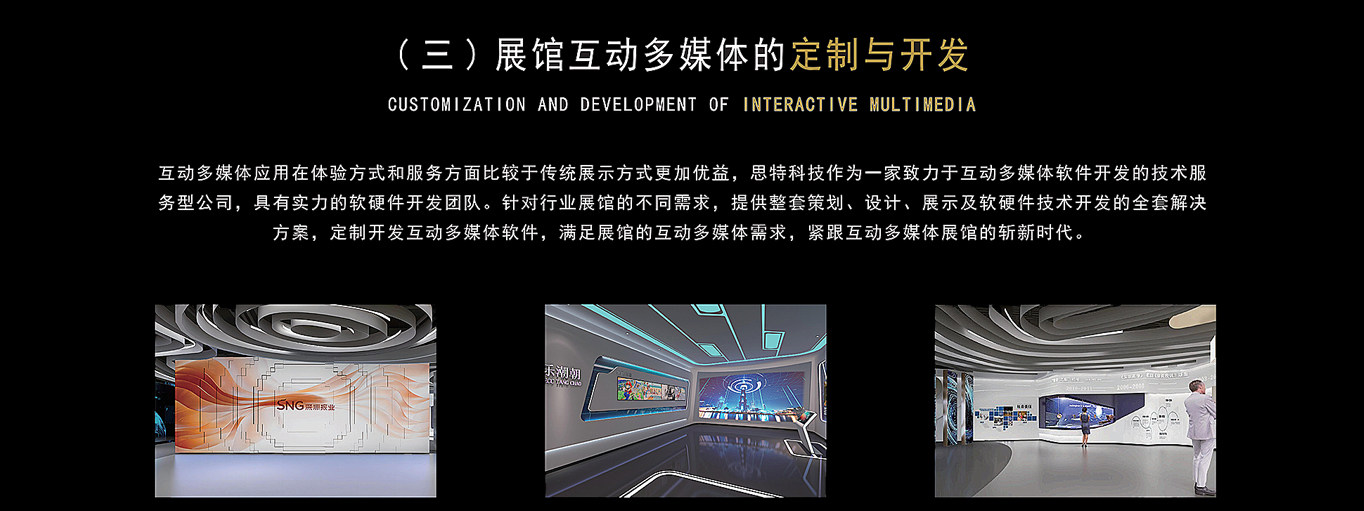 深圳新思想科技文化发展有限公司