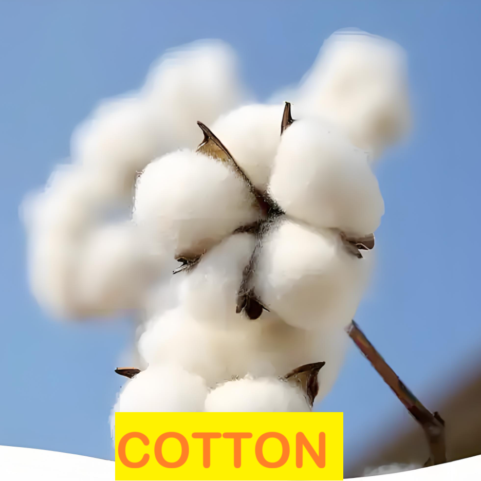 COTTON