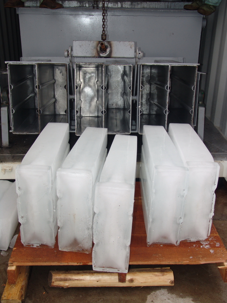 Container-block-ice-plant