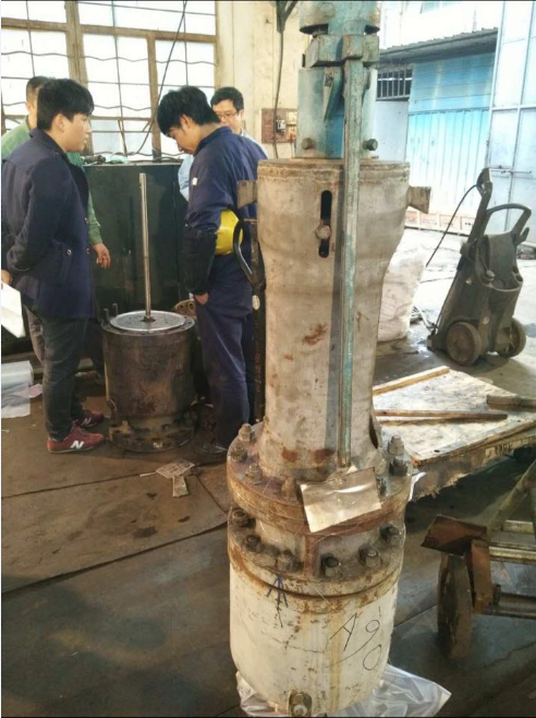 Maintenance of new imported safety valve of CLP Lixin