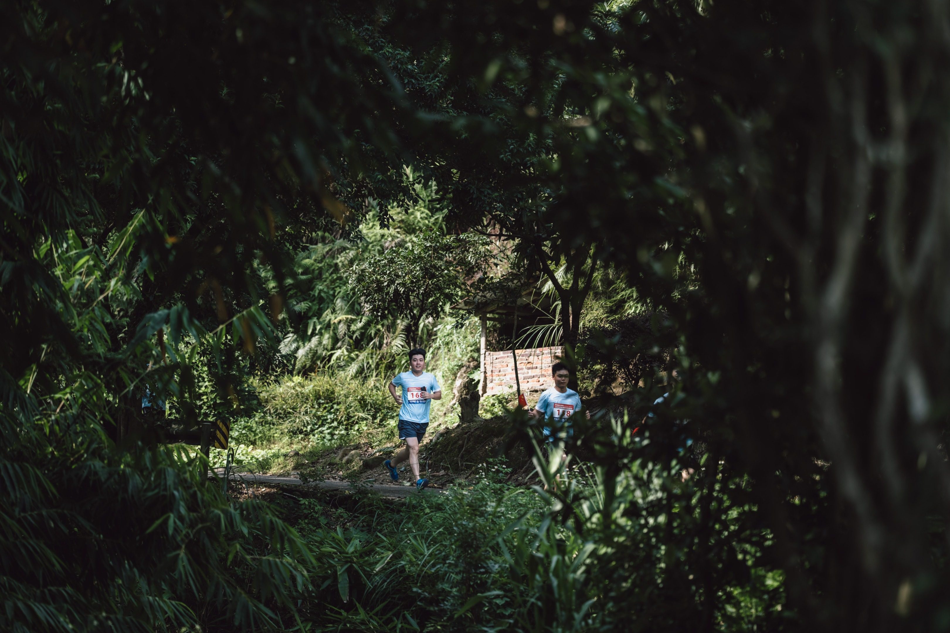 官宣定档 | 2026华安森林越野赛好礼相送，报名12月1日启动！