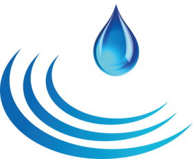 青岛金典携专利产品-96孔黑色底透培养板,参加第十一届慕尼黑上海分析生化展