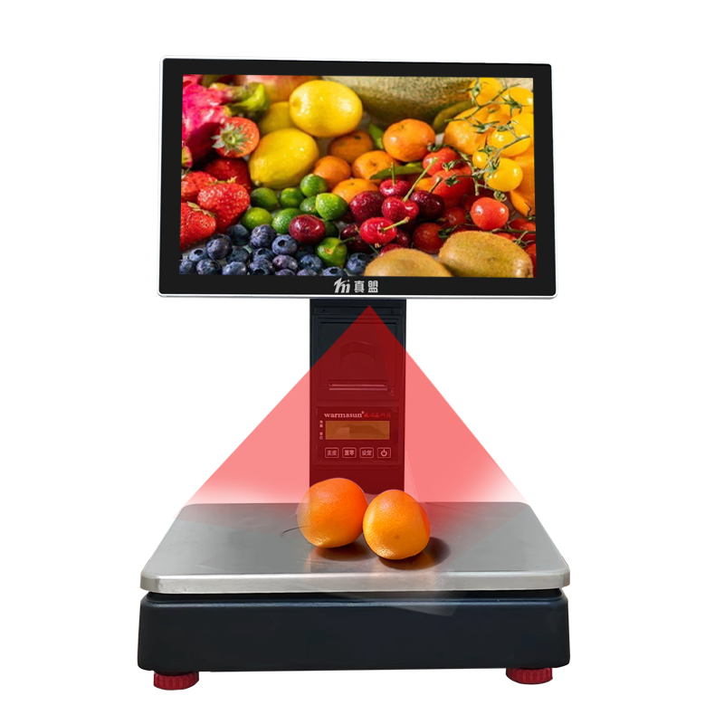 真盟单屏AI秤