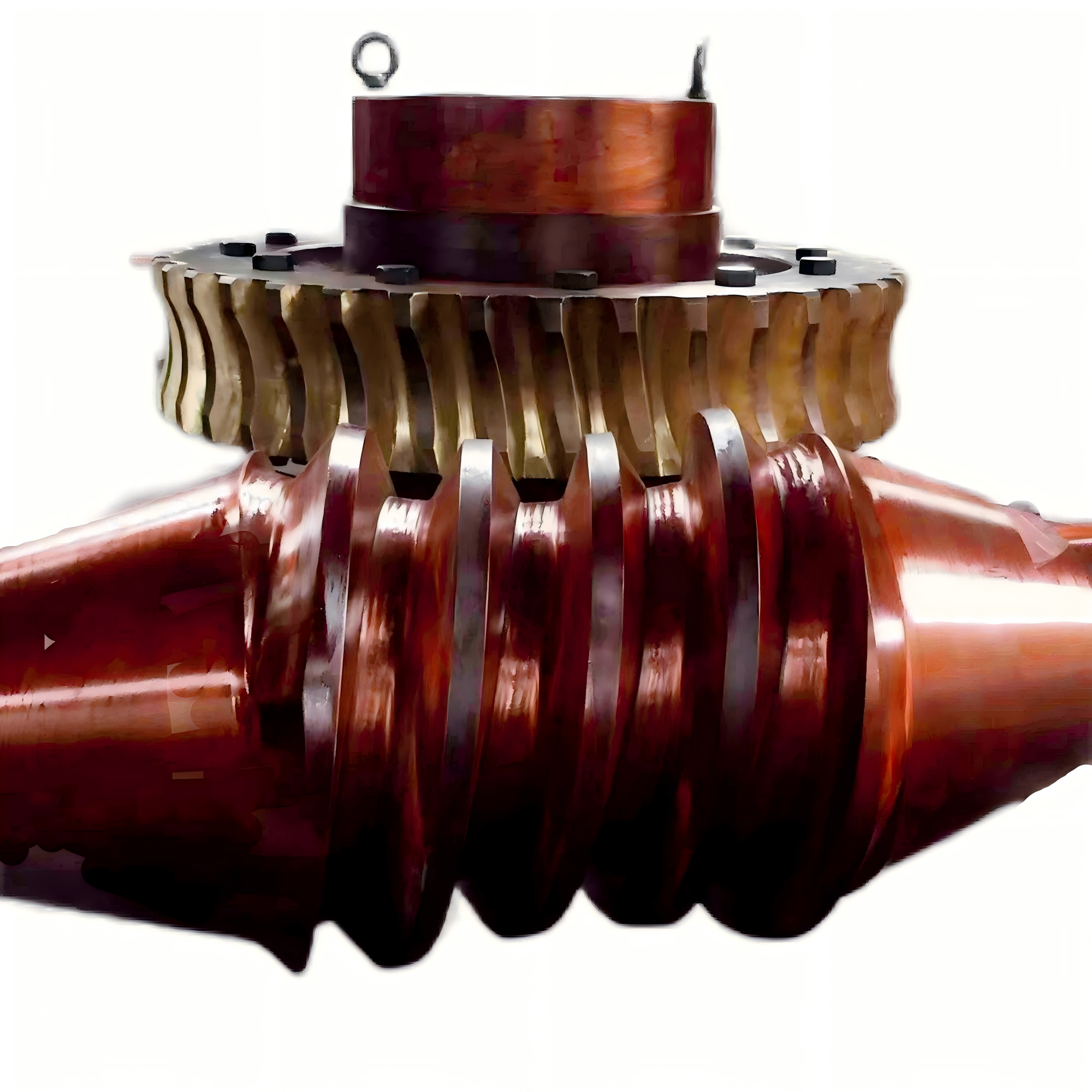 非标定制蜗轮副