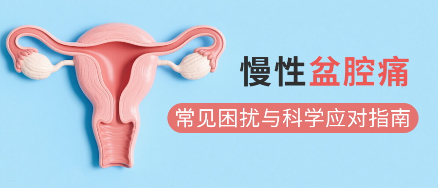 慢性盆腔痛：女性健康的常见困扰与科学应对指南