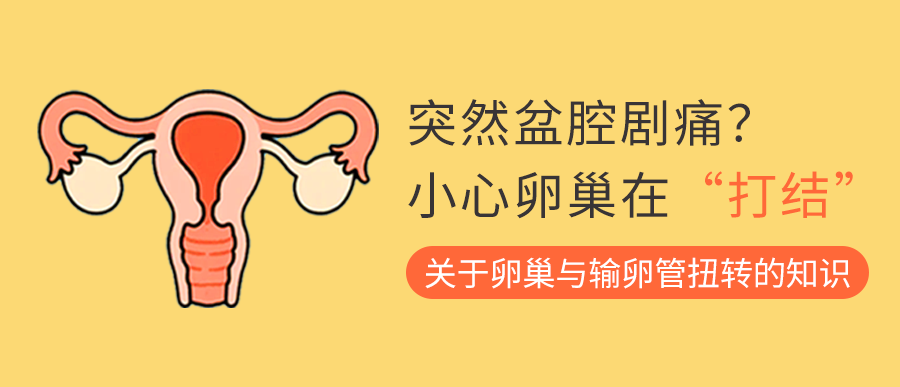 突然盆腔剧痛？小心卵巢在“打结”！关于卵巢与输卵管扭转，这些知识要知道
