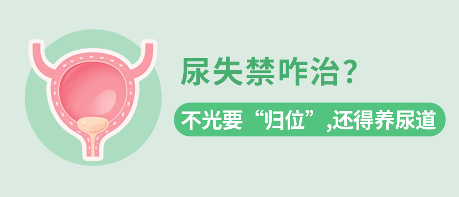 尿失禁咋治？不光要“归位”，还得养尿道