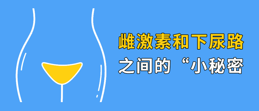 雌激素和下尿路的“小秘密”