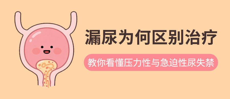漏尿治疗为何不一样？从根源看懂压力性与急迫性尿失禁的应对思路