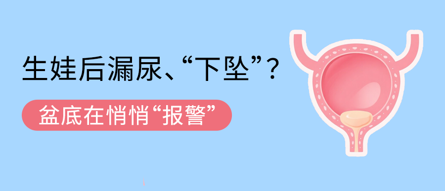 生娃后漏尿、“下坠”？盆底在悄悄“报警”