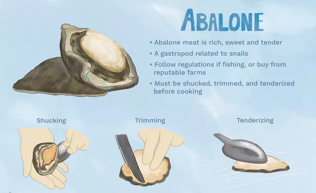 What Is Abalone