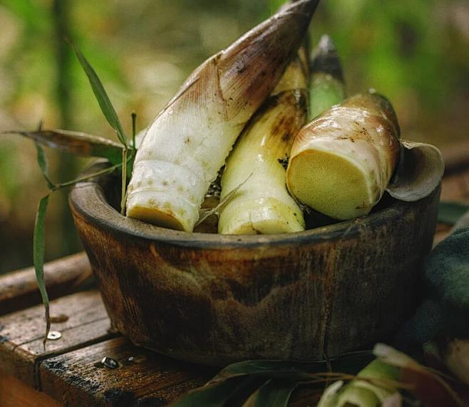 重新定义主食：竹笋提取物为更健康的未来低gi应用铺平了道路