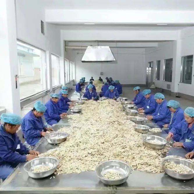 何氏明德（宁波鄞州）文化传播有限公司