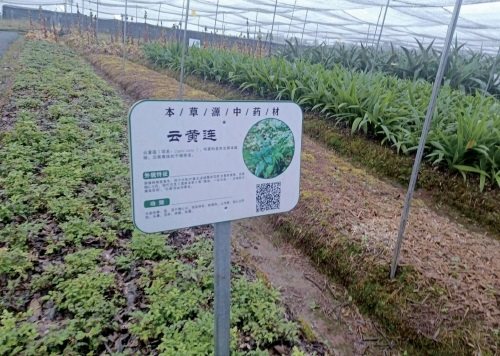 何氏明德（宁波鄞州）文化传播有限公司