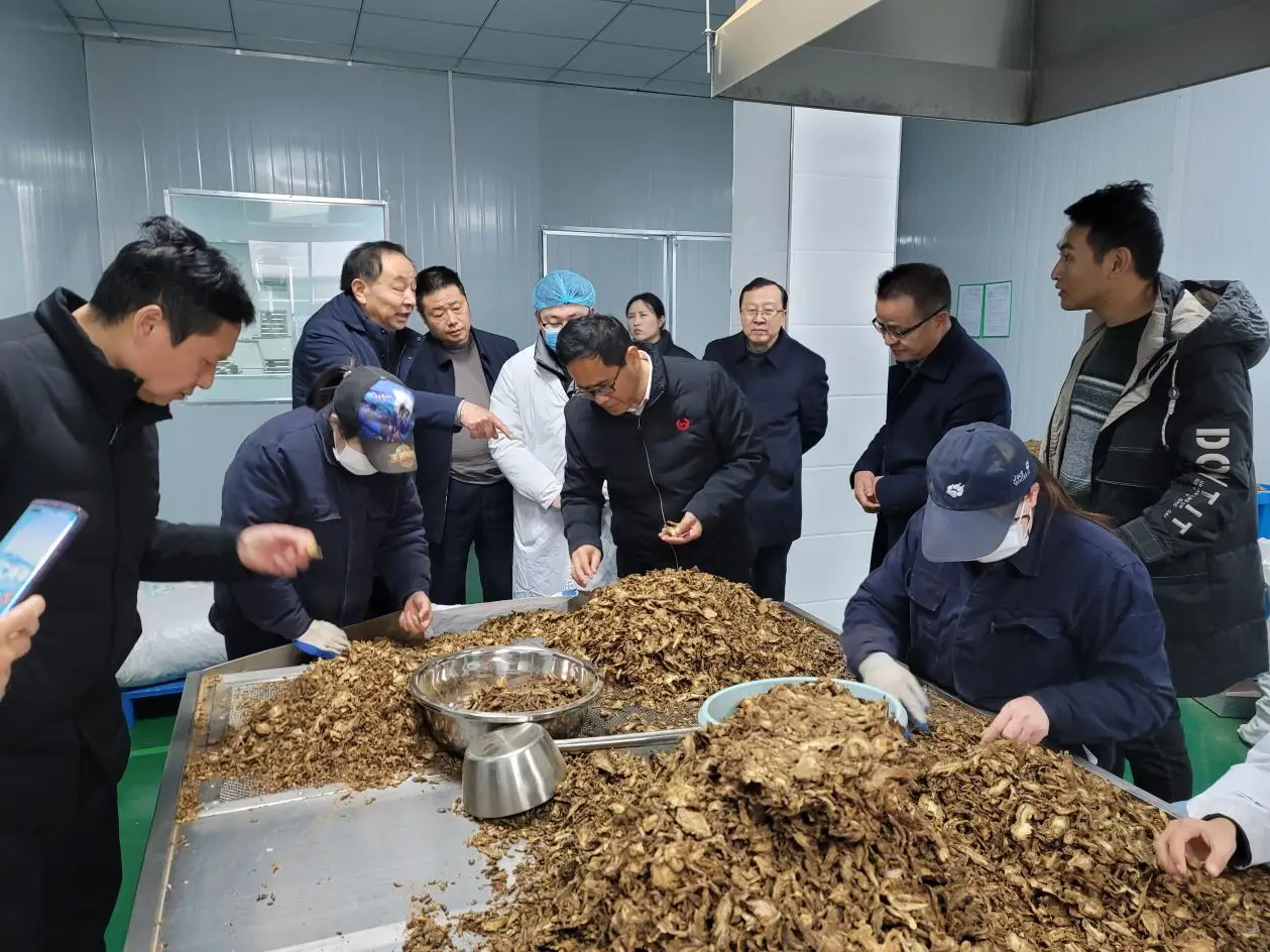 何氏明德（宁波鄞州）文化传播有限公司