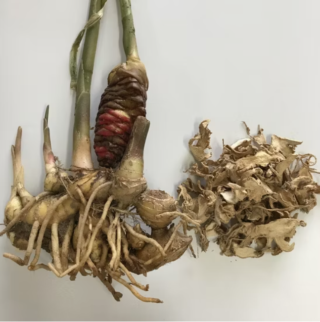 何氏明德（宁波鄞州）文化传播有限公司