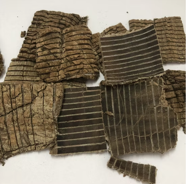 何氏明德（宁波鄞州）文化传播有限公司