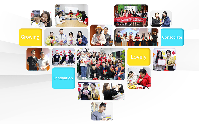 SHENZHEN YOUCABLE TECHNOLOGY COMPANY LIMITED