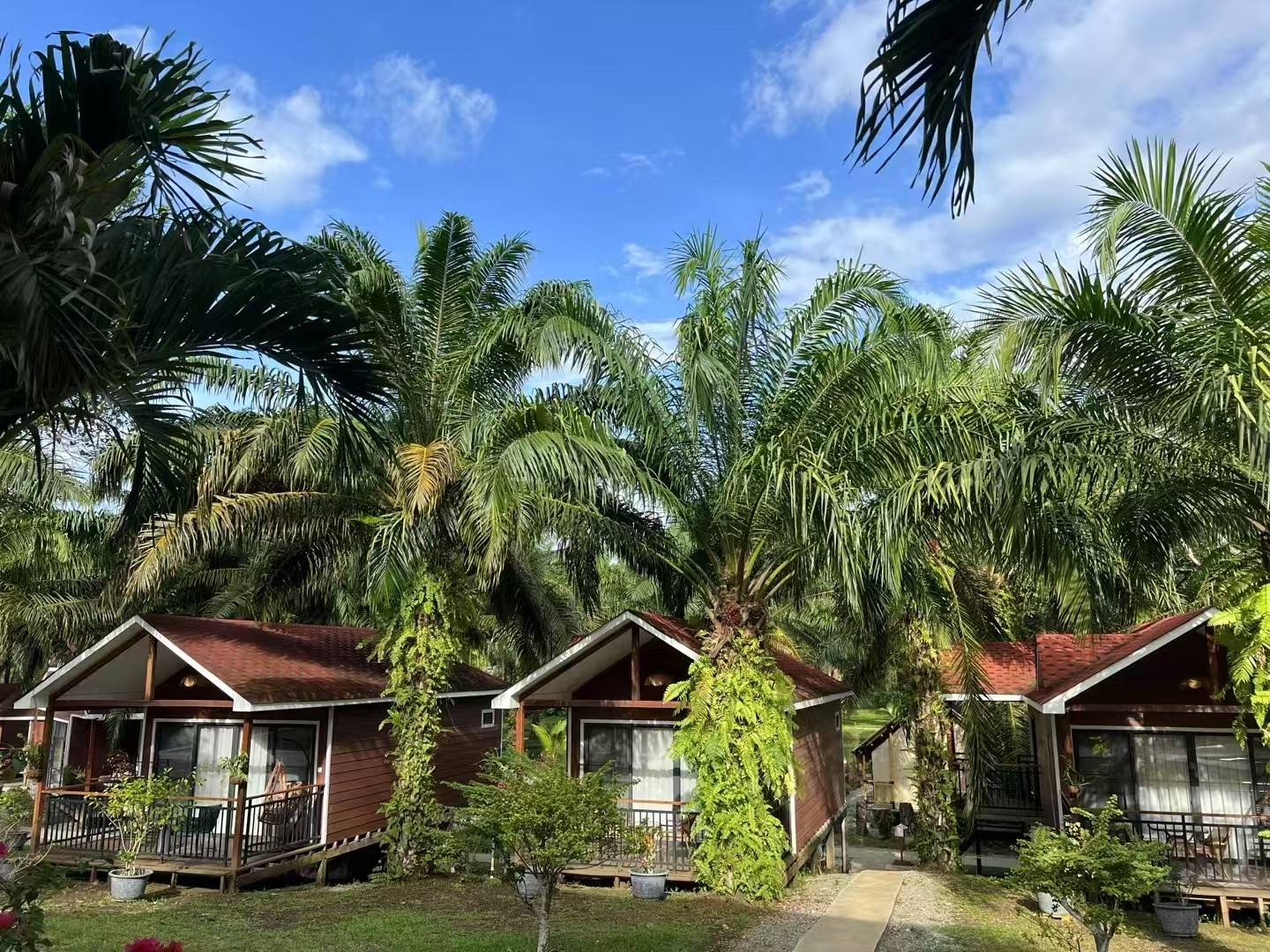 Malaysia Resort – Timber-Look Exterior Wall