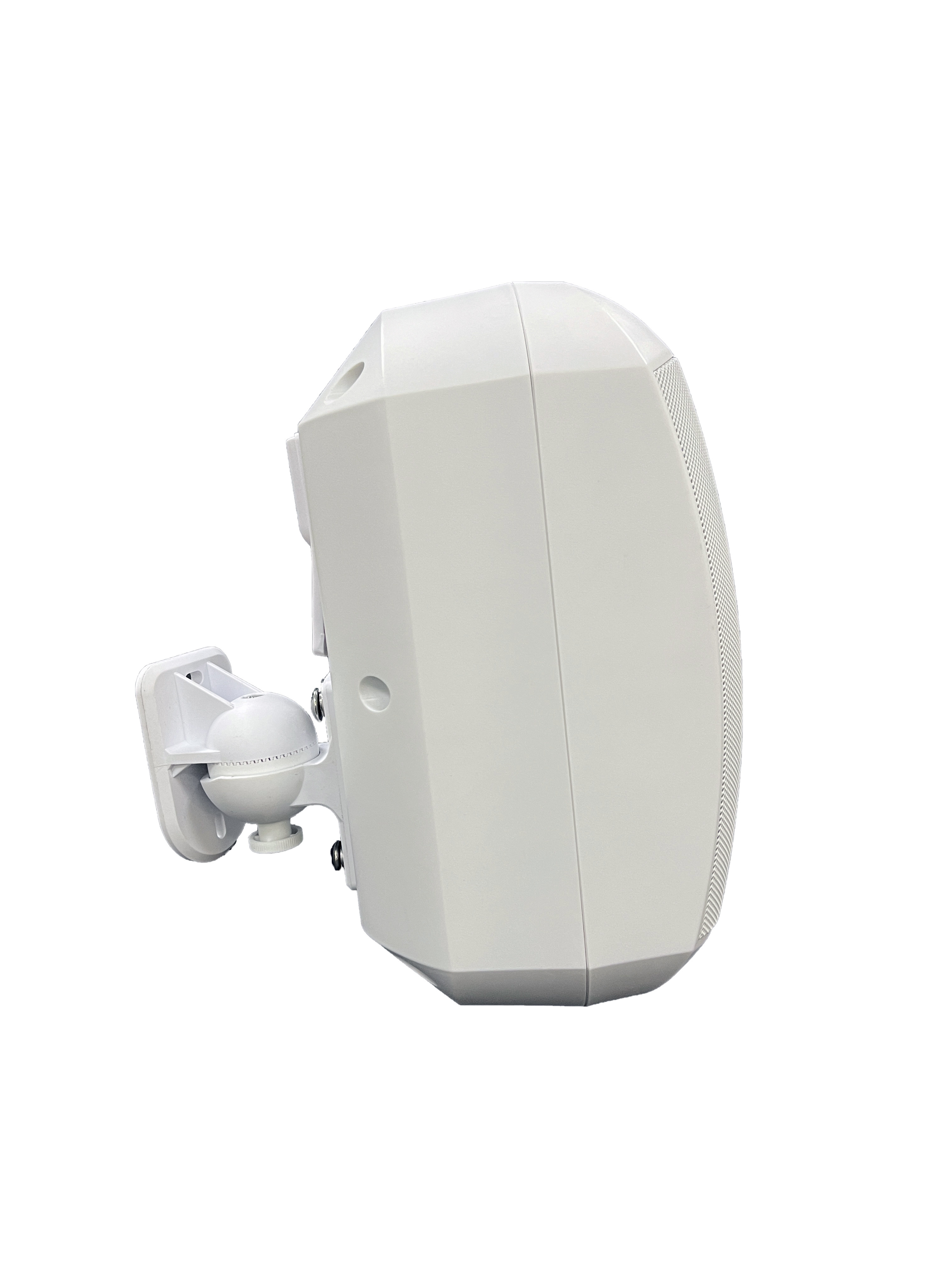 FWS-620W 4.5 inch 20W Outdoor Waterproof Wall Mount Speaker