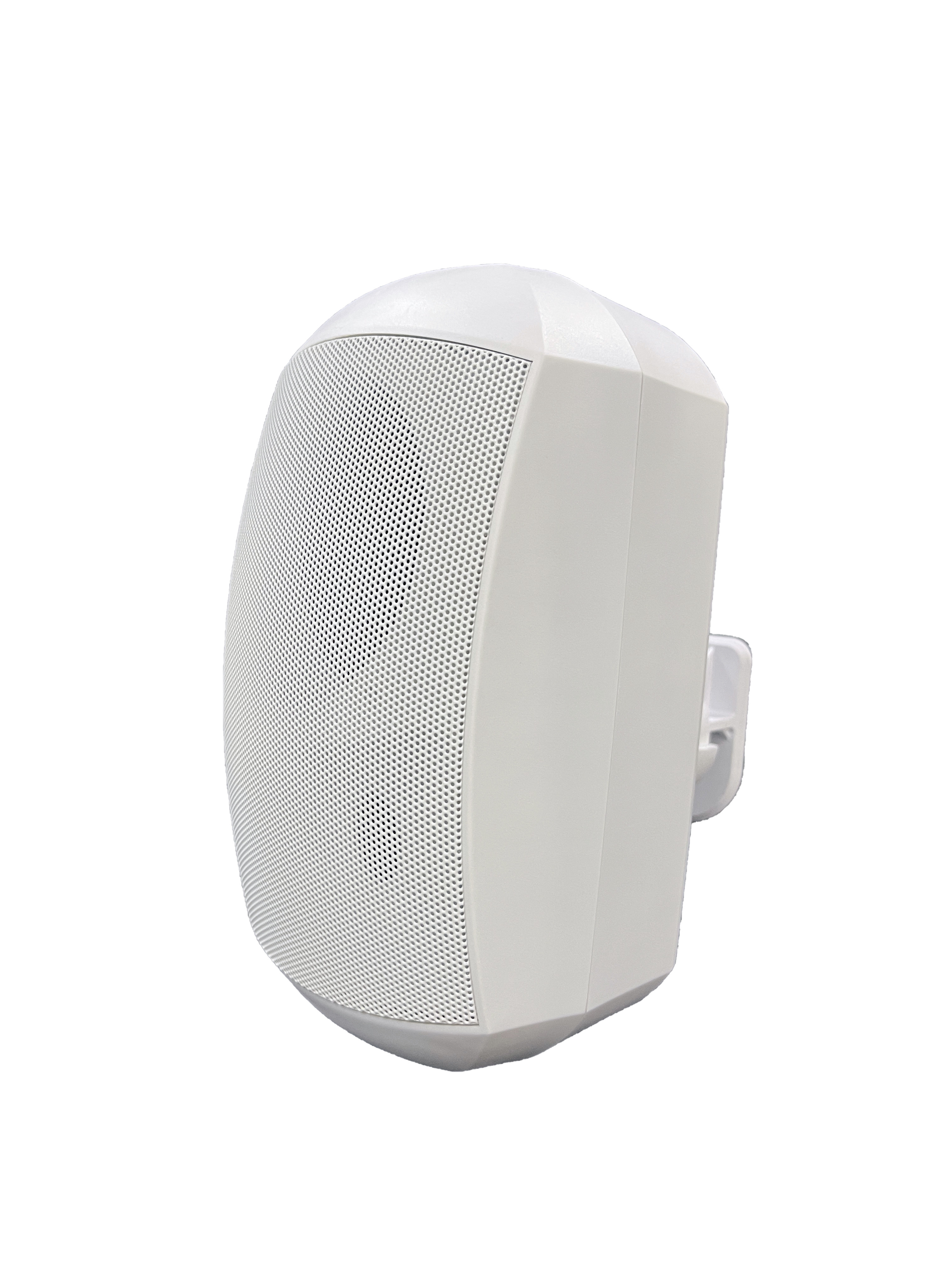 FWS-620W 4.5 inch 20W Outdoor Waterproof Wall Mount Speaker