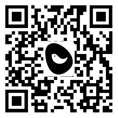 the qr code