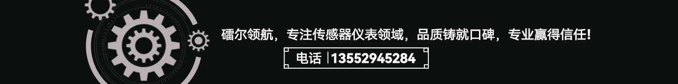 北京镭尔智能传感器技术有限公司