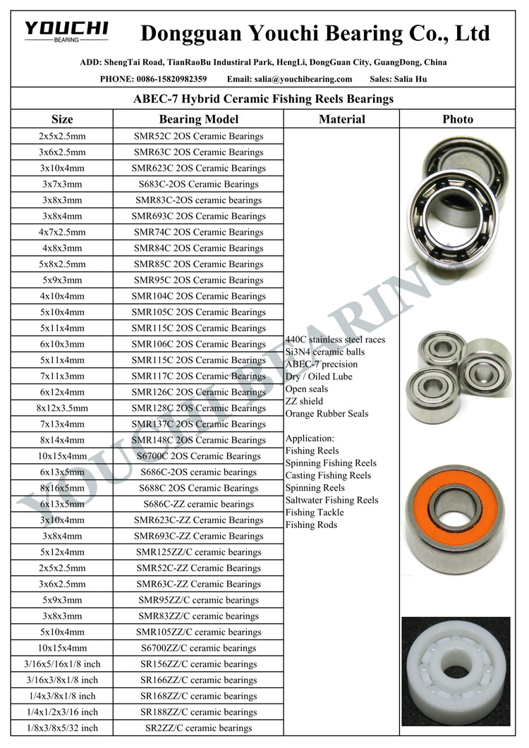 SR2ZZ/C ceramic bearings 1/8x3/8x5/32 inch