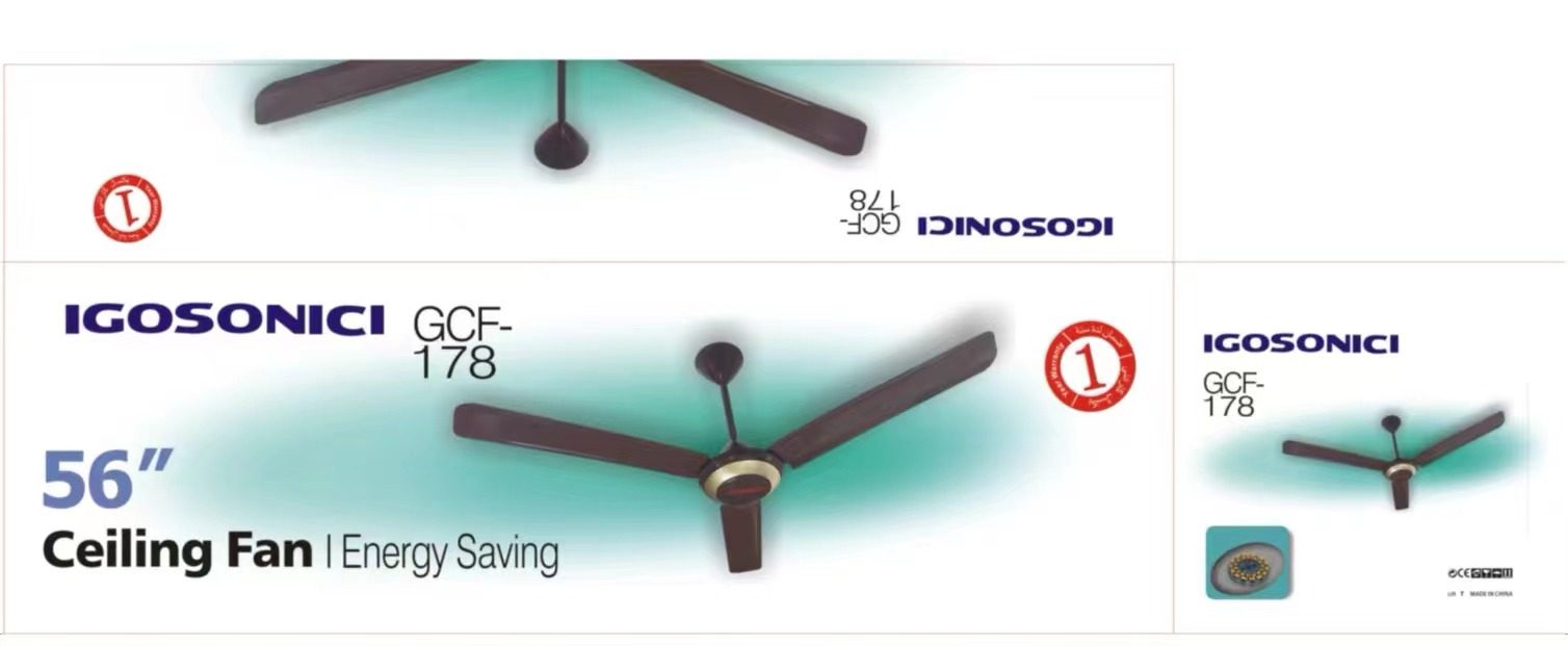 IGOSOICI ceiling fan