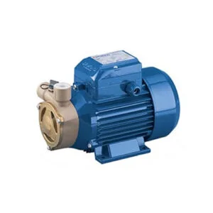 Marine Piston Pump