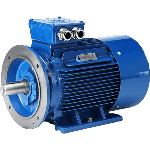 Marine Outboard Engine