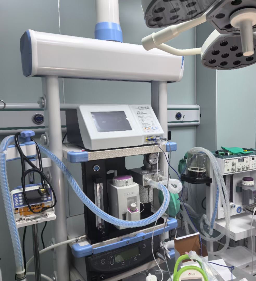 佛山成立宠物细胞医学转化中心