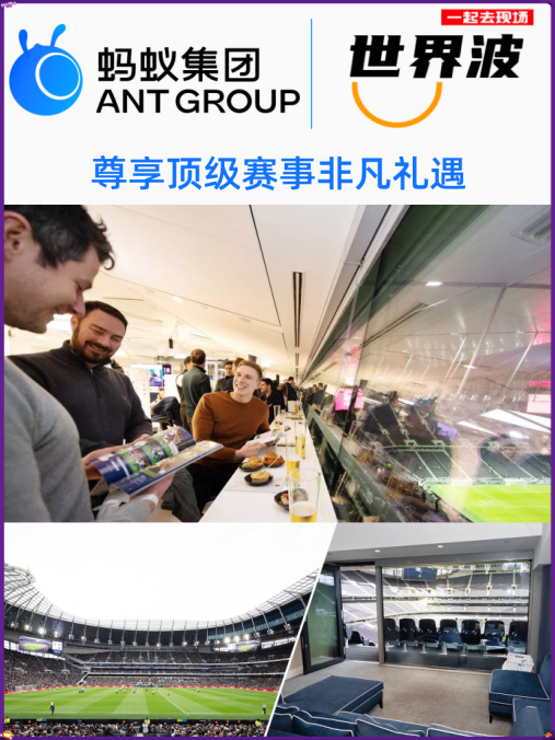 企业定制观赛团