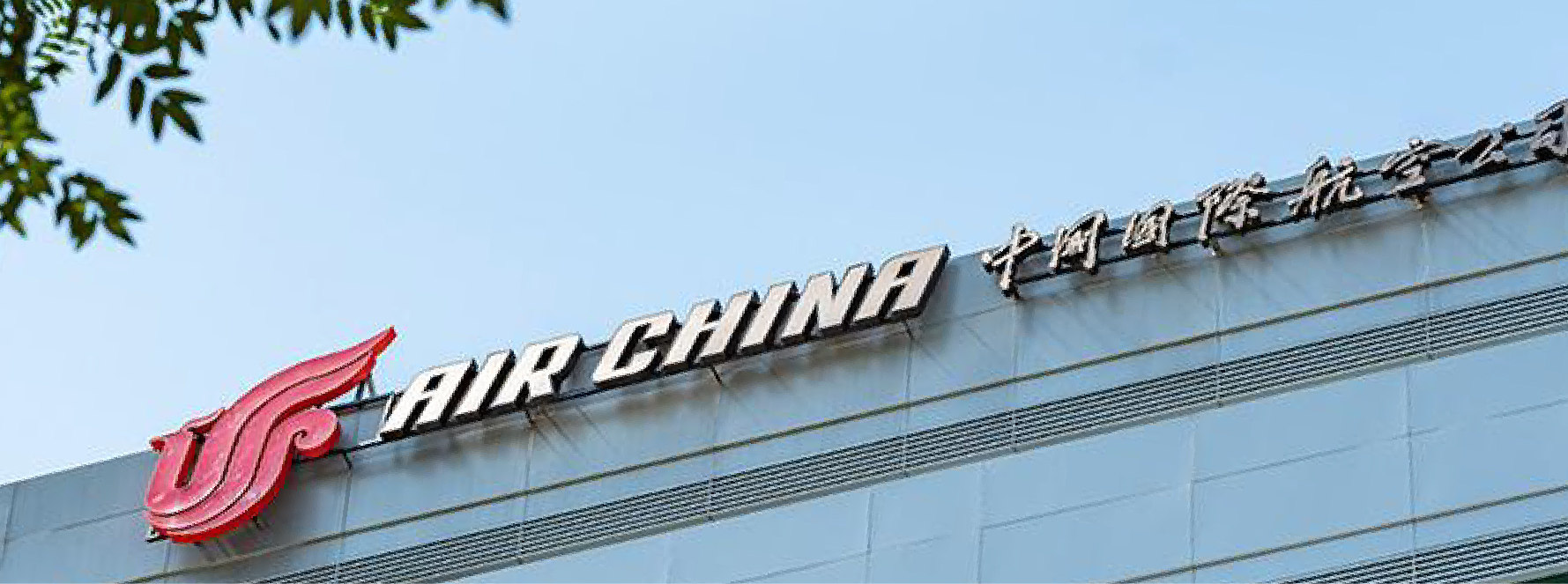 红动视界品牌创意机构